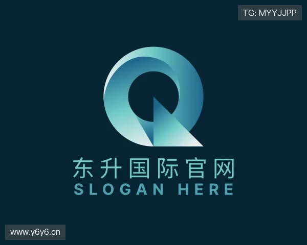 知道东升国际官网